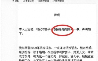 被马蓉横刀夺爱8年后，宋喆前妻杨慧，已经成为他们高攀不起的人（宋喆和杨慧离婚了吗）