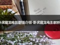 卧虎藏龙电影剧情介绍-卧虎藏龙电影解析（卧虎藏龙电影主要内容）