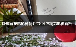 卧虎藏龙电影剧情介绍-卧虎藏龙电影解析（卧虎藏龙电影主要内容）