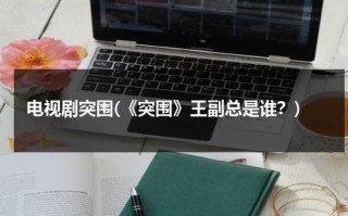 电视剧突围(《突围》王副总是谁？)