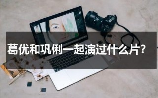 葛优和巩俐一起演过什么片？