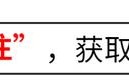 上半年电视剧收视排行：《繁花》仅第四，《与凤行》第二，第一太狠