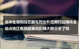 高中生爸妈综艺翻车烈女朴氏契约结婚传金裕贞宋江电视剧秦岚和魏大勋分手了吗（适合高中看的综艺节目）