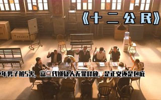 十二公民免费观看完整版(十二公民免费高清完整)