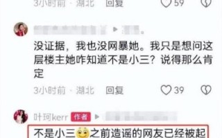 黄晓明与叶珂官宣后的热搜风波：退网背后的真相揭秘