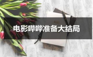 电影哔哔准备大结局