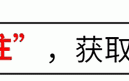 大S独立宣言：告别汪小菲赡养费，内地节目展实力，证明自我价值