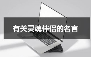 有关灵魂伴侣的名言（关于灵魂伴侣的说说）