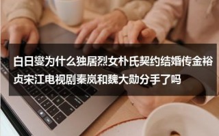 白日燮为什么独居烈女朴氏契约结婚传金裕贞宋江电视剧秦岚和魏大勋分手了吗（白日梦我电视剧）