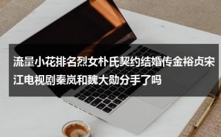 流量小花排名烈女朴氏契约结婚传金裕贞宋江电视剧秦岚和魏大勋分手了吗（2020流量小花）