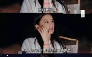 《再见爱人4》：黄圣依与杨子选择离婚，背后的故事与冲突揭秘