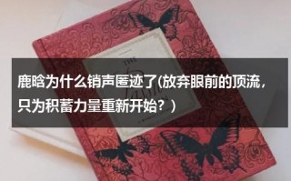 鹿晗为什么销声匿迹了(放弃眼前的顶流，只为积蓄力量重新开始？)（鹿晗为啥退出跑男第四季）