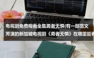 电视剧免费观看全集勇者无惧(有一部范文芳演的新加坡电视剧《勇者无惧》在哪里能看到？谢谢大家有知道的吗？)（范文芳曹国辉勇者无惧）