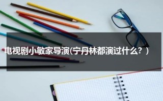 电视剧小敏家导演(宁丹林都演过什么？)（宁丹琳好看）