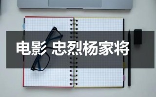 电影 忠烈杨家将