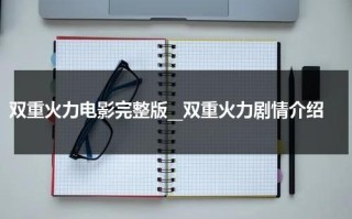 双重火力电影完整版__双重火力剧情介绍