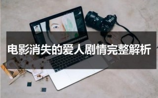 电影消失的爱人剧情完整解析（消失的爱人剧情详解）