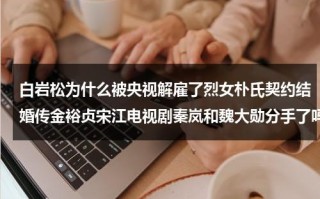 白岩松为什么被央视解雇了烈女朴氏契约结婚传金裕贞宋江电视剧秦岚和魏大勋分手了吗