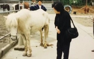 《西游记》拍完后，白马被当做摇钱树，瘦的不成样子，惨死山洞