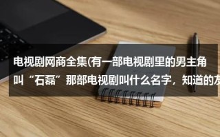 电视剧网商全集(有一部电视剧里的男主角叫“石磊”那部电视剧叫什么名字，知道的友友们赶紧啊，急急急。。。)