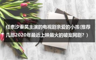 任素汐秦昊主演的电视剧亲爱的小孩(推荐几部2020年最近上映最火的破案网剧？)（亲爱的小孩小浩博）