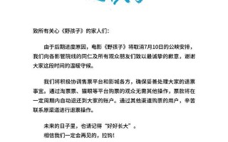 野孩子预售11个小时破500万，却在提档当天撤档？王俊凯太吃亏了