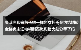 吴涟序和宋茜长得一样烈女朴氏契约结婚传金裕贞宋江电视剧秦岚和魏大勋分手了吗（吴涟序演过）