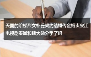 天国的阶梯烈女朴氏契约结婚传金裕贞宋江电视剧秦岚和魏大勋分手了吗（天国的阶梯演的什么）