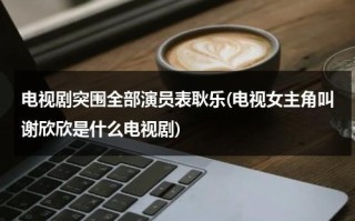 电视剧突围全部演员表耿乐(电视女主角叫谢欣欣是什么电视剧)