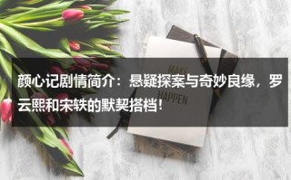 颜心记剧情简介：悬疑探案与奇妙良缘，罗云熙和宋轶的默契搭档！