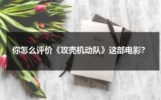 你怎么评价《攻壳机动队》这部电影？