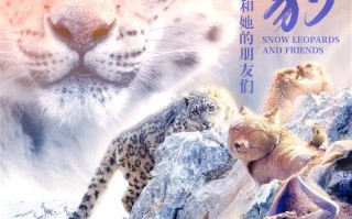 《雪豹和她的朋友们》在伦敦举办公益电影专场