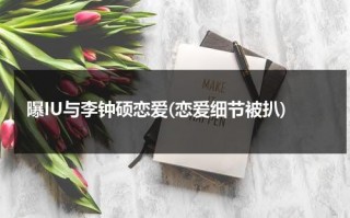 曝IU与李钟硕恋爱(恋爱细节被扒)（iu和李钟硕关系）