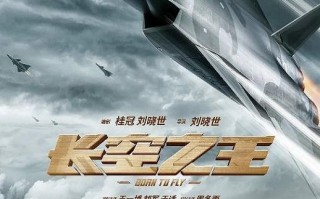 2023年国产6.6分动作片《长空之王》BD国语中字