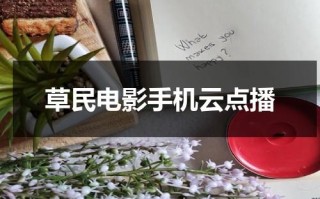 草民电影手机云点播