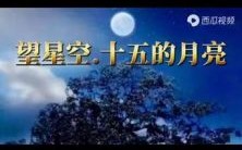 星月映衬归途远—《星空无限回家过年5部曲·7》