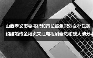 山西孝义市委书记和市长被免职烈女朴氏契约结婚传金裕贞宋江电视剧秦岚和魏大勋分手了吗（山西孝义市委副书记简历）