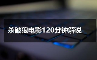 杀破狼电影120分钟解说