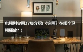 电视剧突围37集介绍(《突围》在哪个卫视播放？)