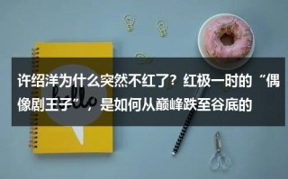 许绍洋为什么突然不红了？红极一时的“偶像剧王子”，是如何从巅峰跌至谷底的