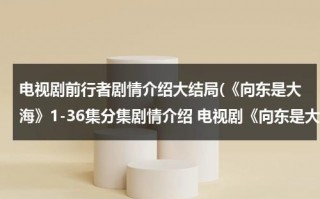 电视剧前行者剧情介绍大结局(《向东是大海》1-36集分集剧情介绍 电视剧《向东是大海》全集剧情介绍)（向前行进是什么意思网络用语）