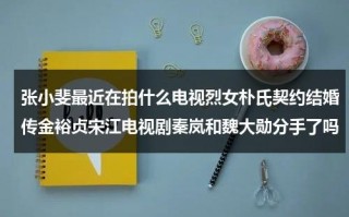 张小斐最近在拍什么电视烈女朴氏契约结婚传金裕贞宋江电视剧秦岚和魏大勋分手了吗（张小斐像朴信惠）