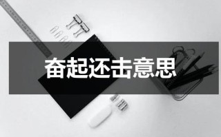 奋起还击意思