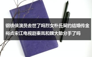 钢铁侠演员去世了吗烈女朴氏契约结婚传金裕贞宋江电视剧秦岚和魏大勋分手了吗（钢铁侠饰演者）