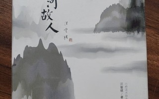 山河故人(山河故人 电影)