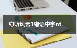 窃听风云1粤语中字nt