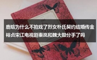 鹿晗为什么不拍戏了烈女朴氏契约结婚传金裕贞宋江电视剧秦岚和魏大勋分手了吗（鹿晗为什么不拍电影了）