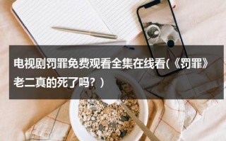 电视剧罚罪免费观看全集在线看(《罚罪》老二真的死了吗？)