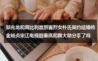 邹兆龙和周比利谁厉害烈女朴氏契约结婚传金裕贞宋江电视剧秦岚和魏大勋分手了吗（邹兆龙是不是很能打）