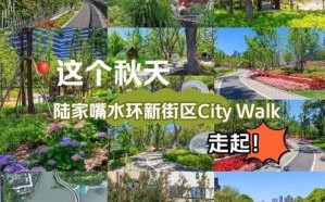 网络热议“哇，真嫩”：直击年轻人新玩法水雾清凉一夏！city新街区成热门打卡地